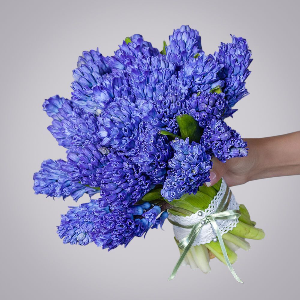 монобукет синие гиацинты 25 шт под ленту 