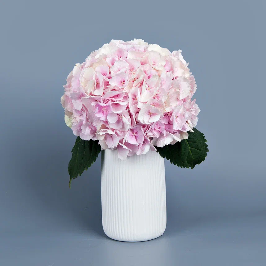 ваза m белая керамика с розовой гортензией 