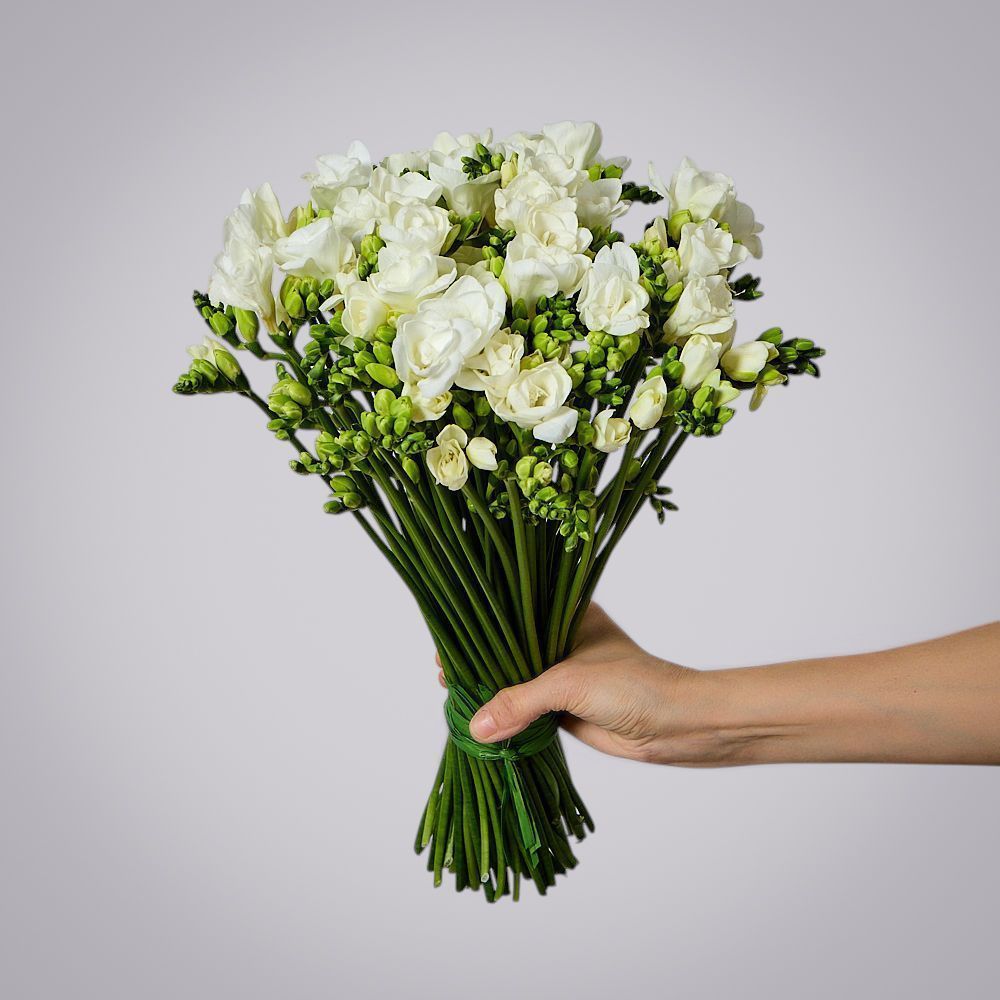 монобукет из 49 белых фрезий 