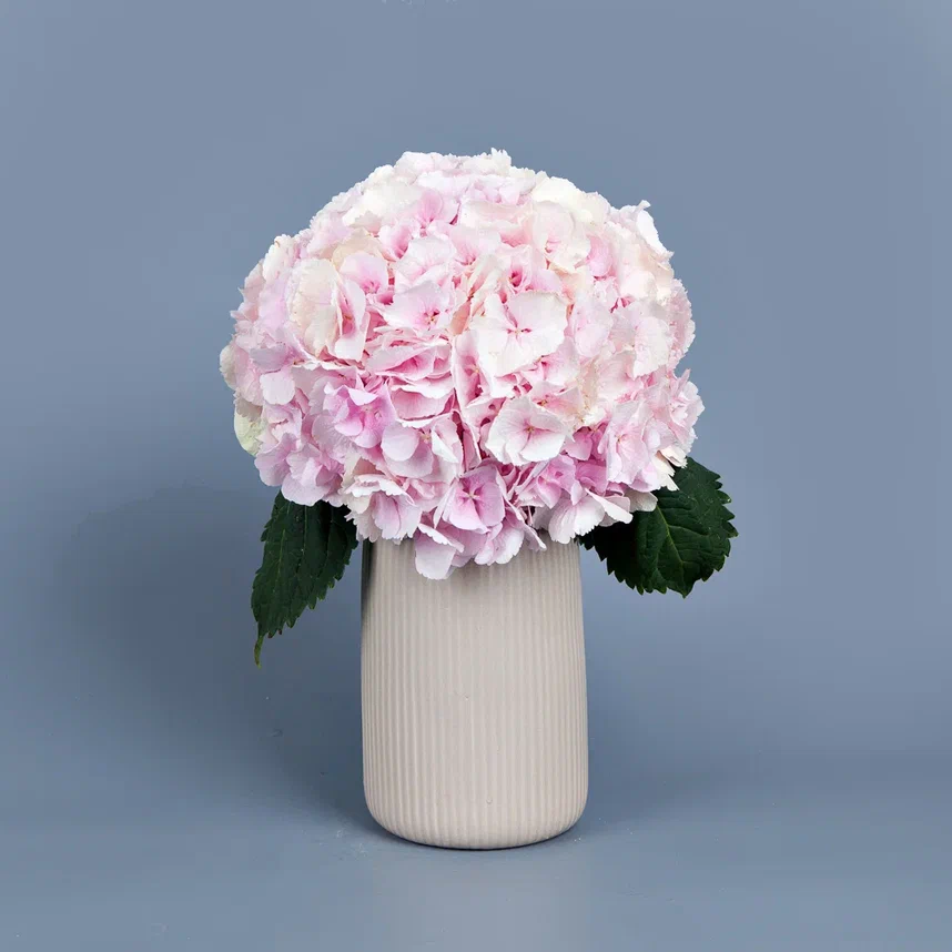 ваза m бежевая керамика с розовой гортензией 