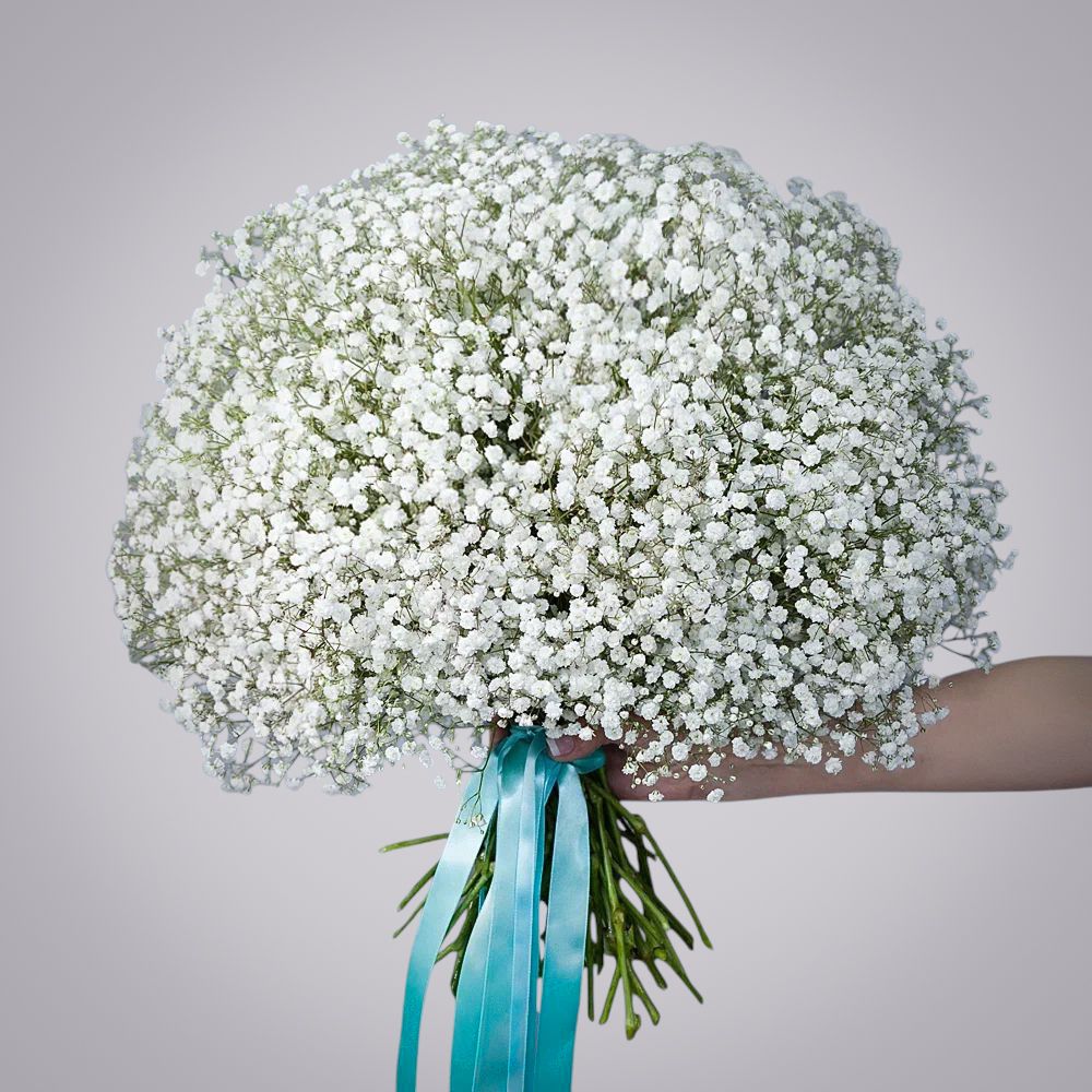 монобукет из 25 белых гипсофил 