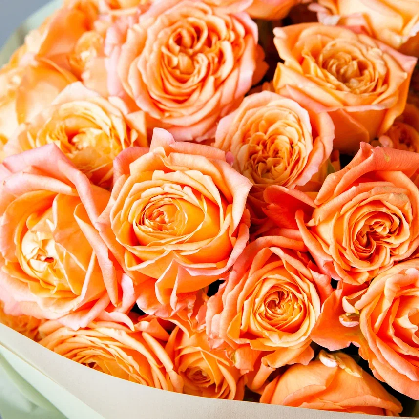 монобукет 11 кустовых роз "apricot lace" в упаковке 