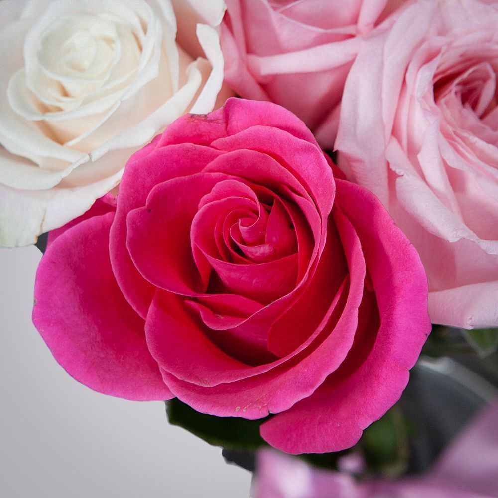 монобукет из 15 роз микс-8  под ленту 