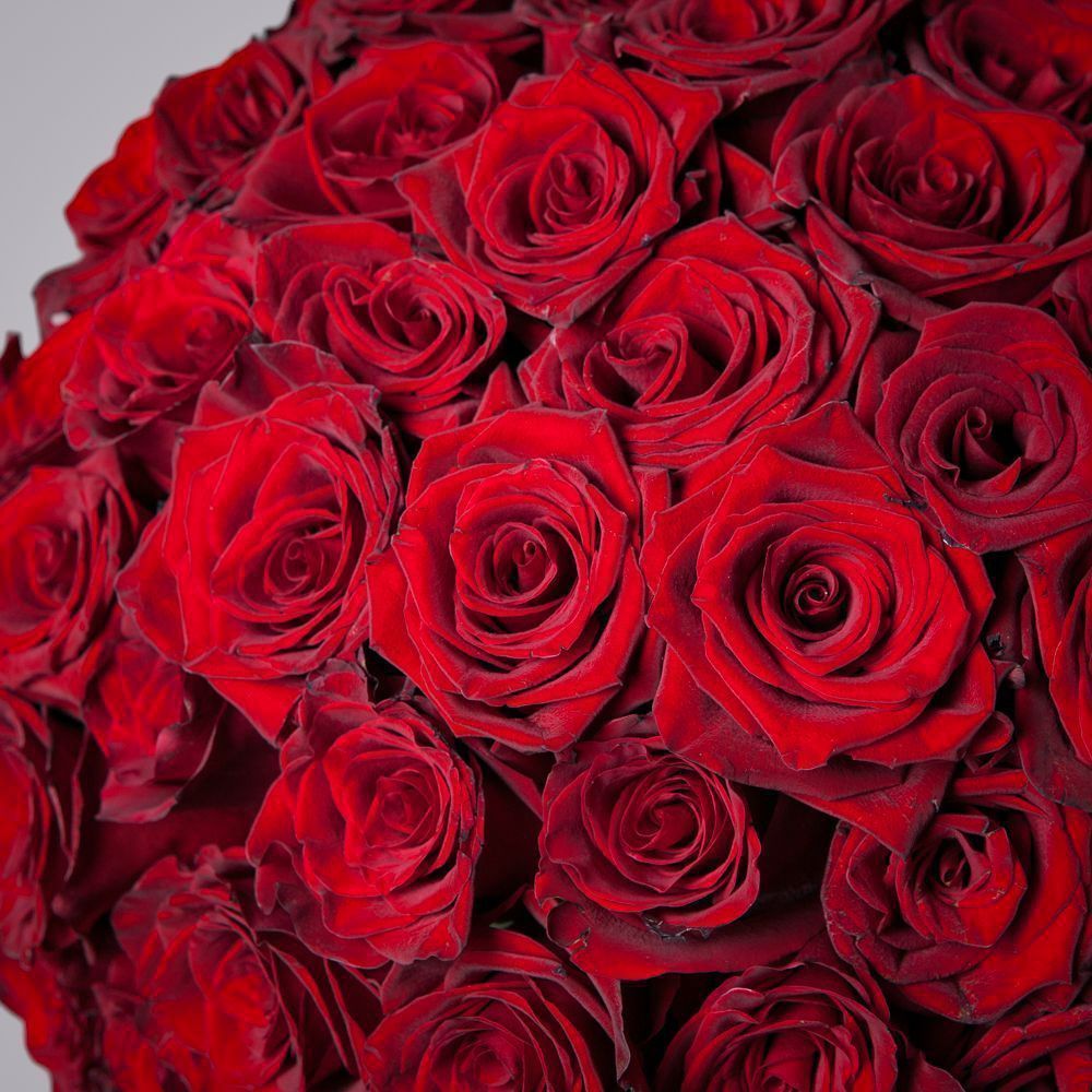 монобукет из 75 роз "explorer" под ленту 