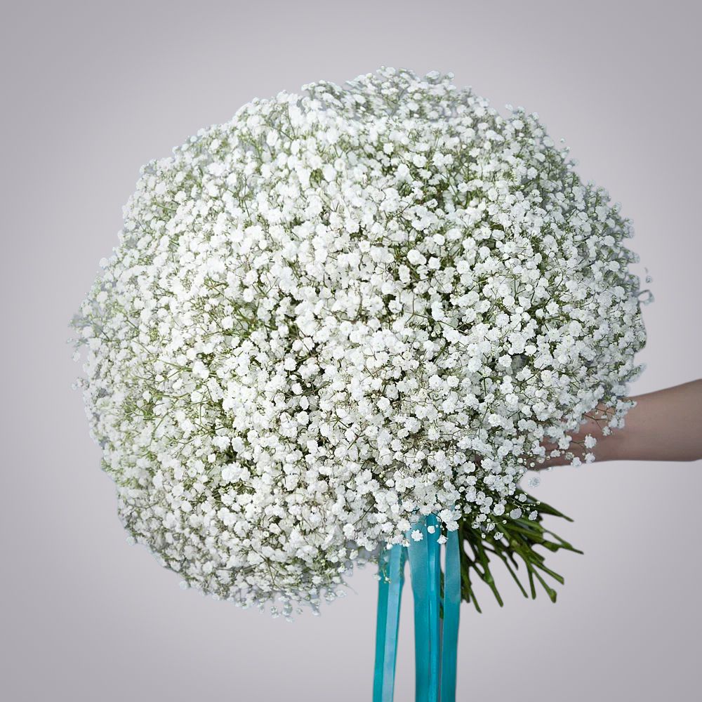 монобукет из 25 белых гипсофил 