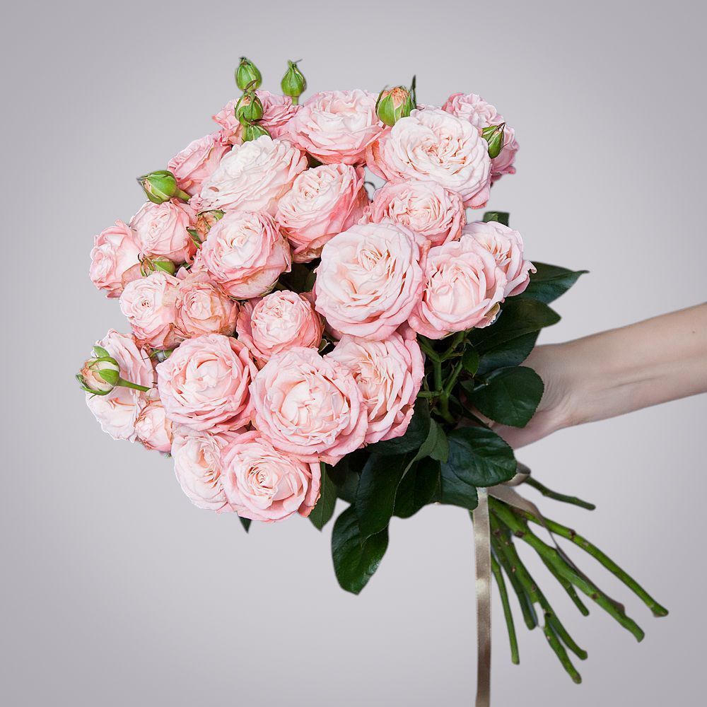 монобукет 9 роз "madam bombastic" под ленту 