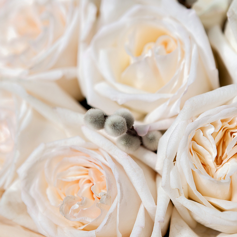монобукет 21 роза "white o`hara" 
