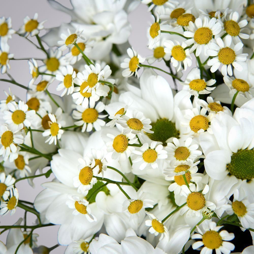 букет "весенний букет" 