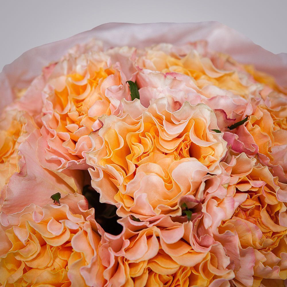 монобукет 9 пионовидных роз "campanella" в упаковке с тишью 