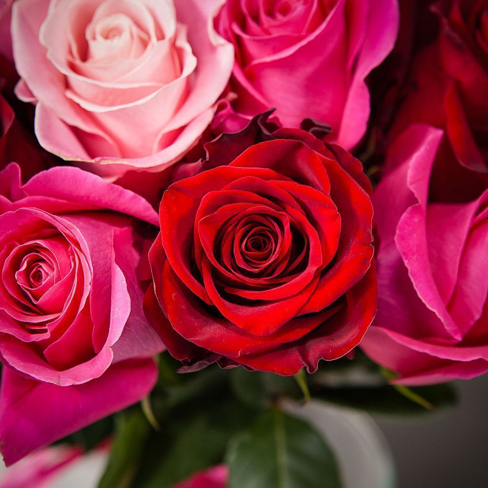 монобукет из 21 роз микс под ленту 