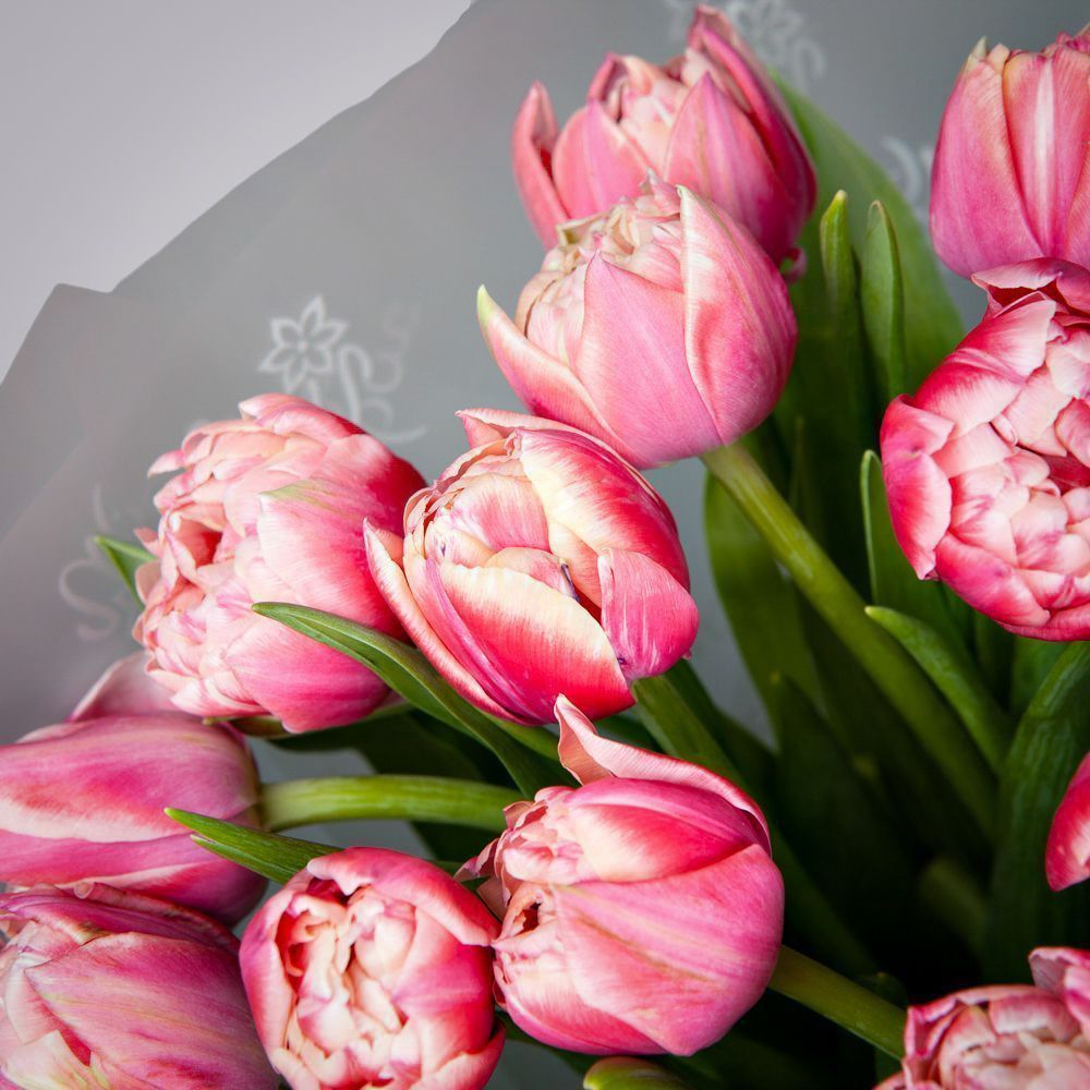 монобукет из 17 розовых тюльпанов в упаковке 