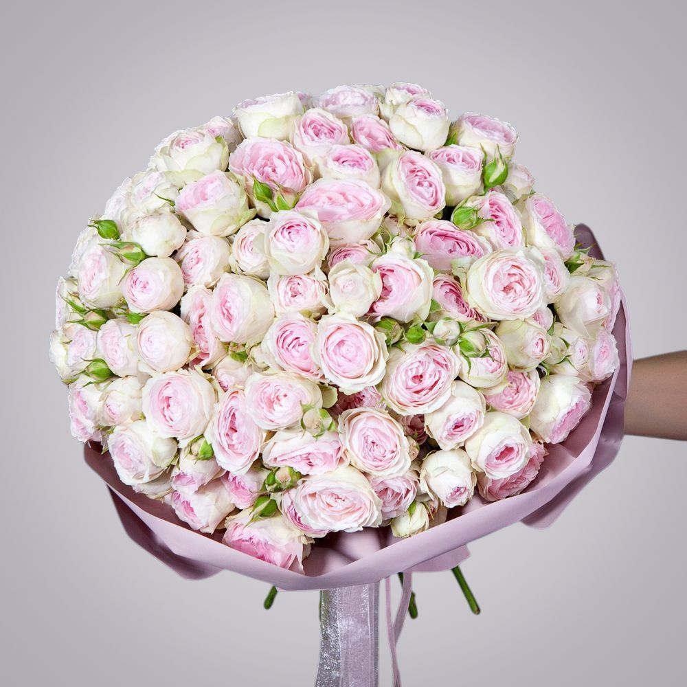 монобукет 25 кустовых роз "dedication" в упаковке 