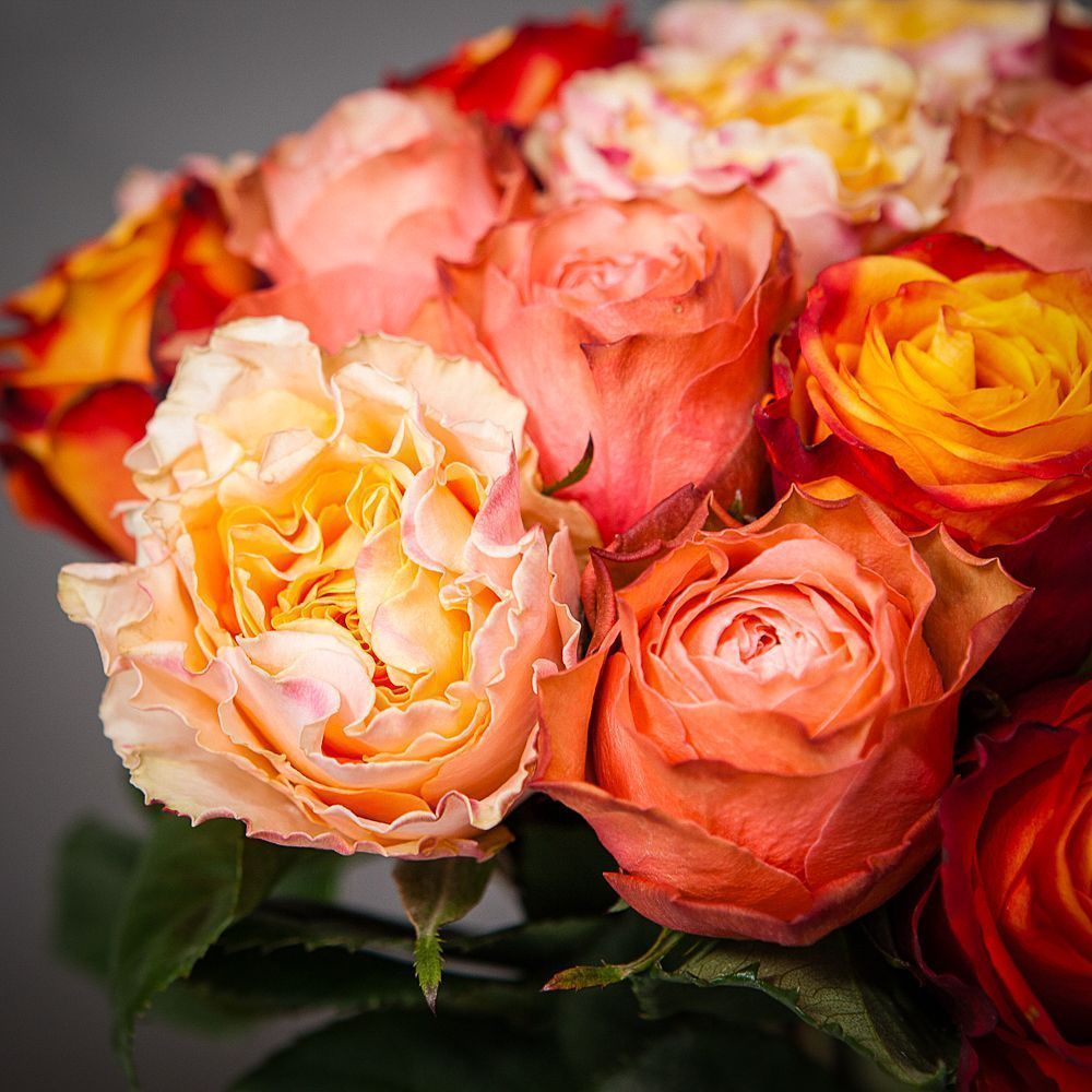 монобукет из 21 роз микс-2 под ленту 