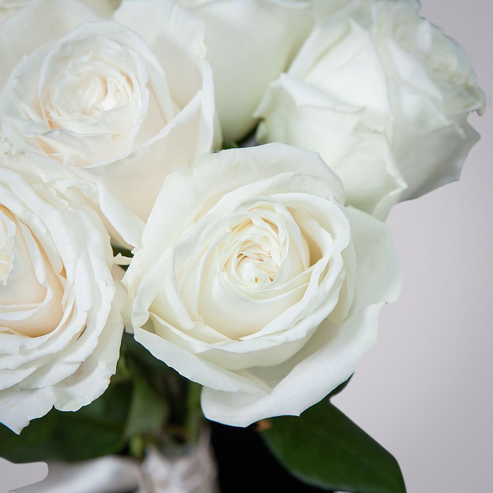 монобукет 7 пионовидных роз "playa blanca" под ленту 