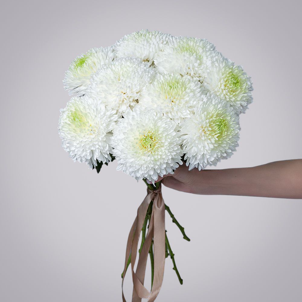 монобукет из 9 белых хризантем magnum 