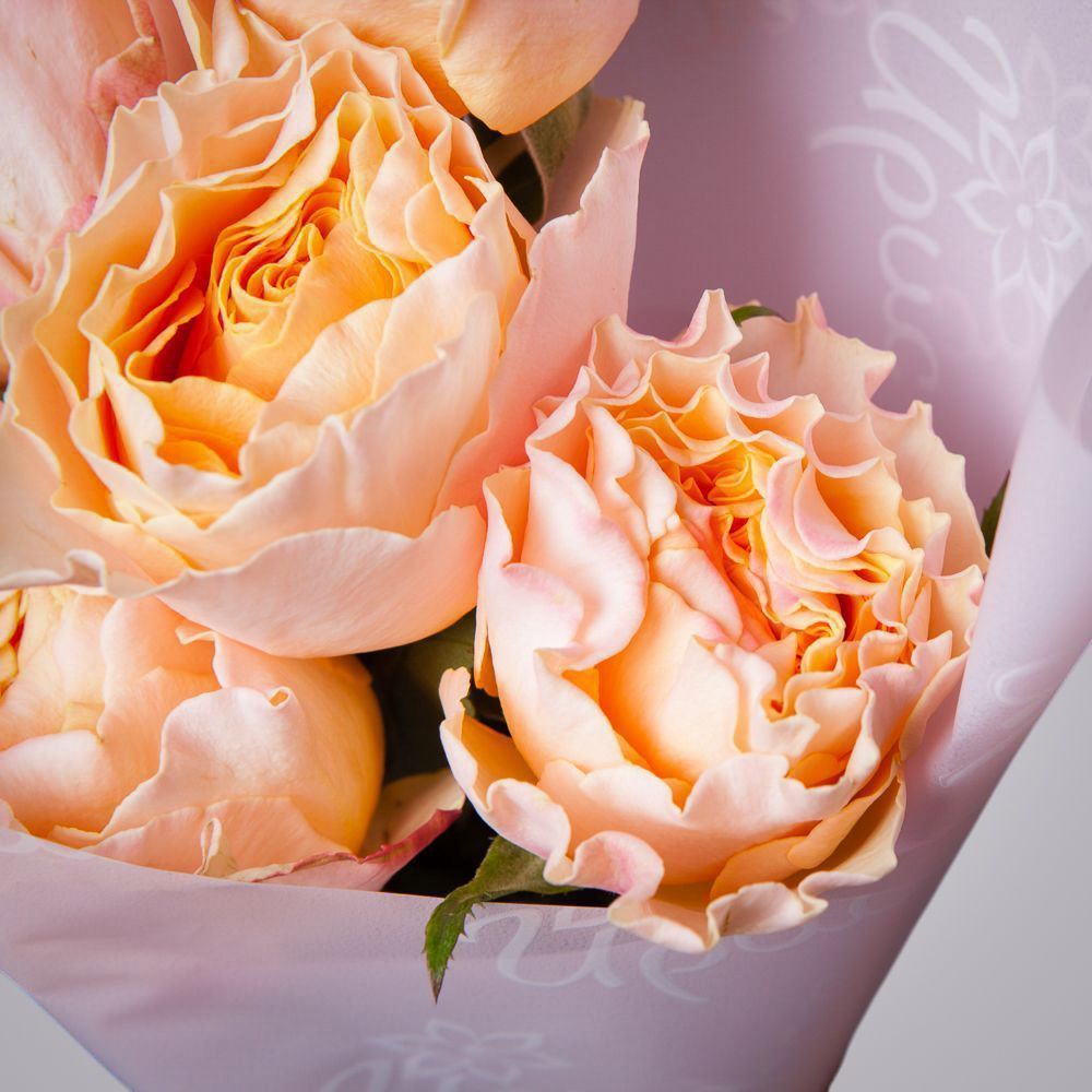 монобукет 5 пионовидных роз "campanella" в упаковке 