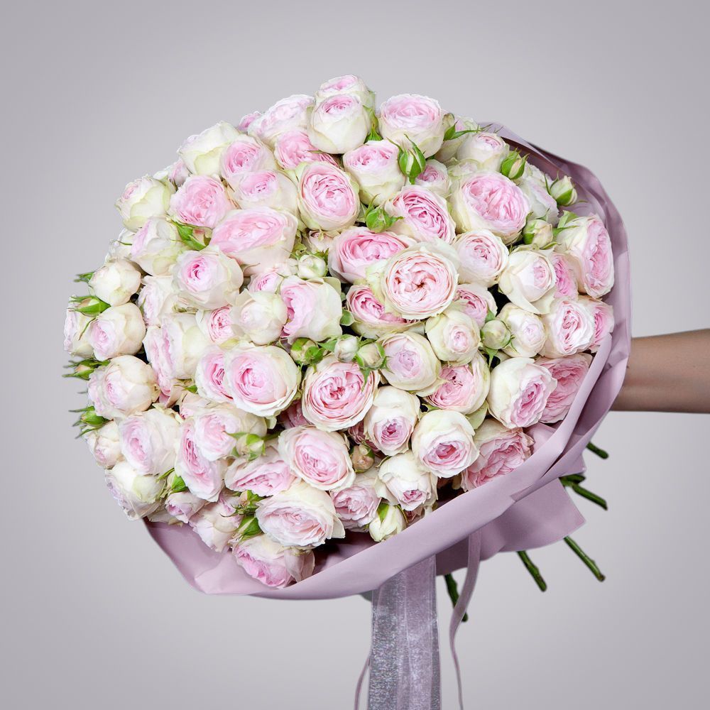 монобукет 25 кустовых роз "dedication" в упаковке 