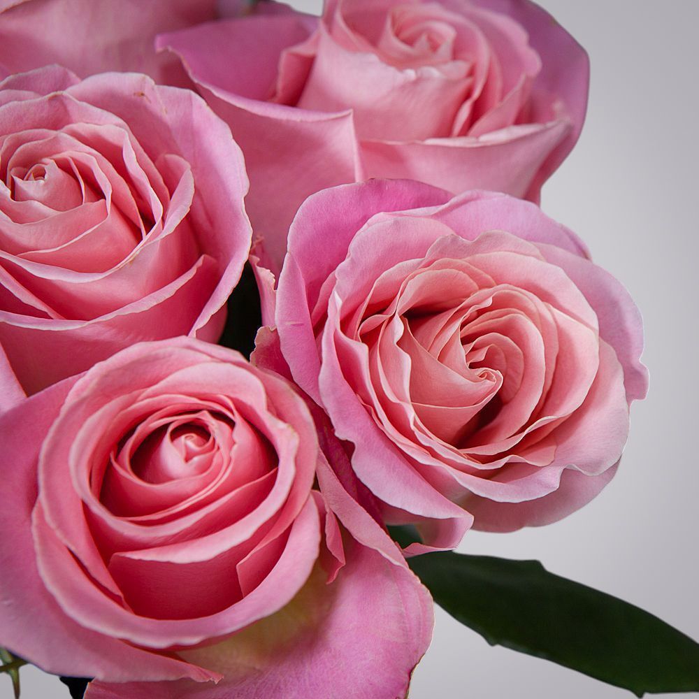 монобукет 7 роз "hermosa" под ленту 