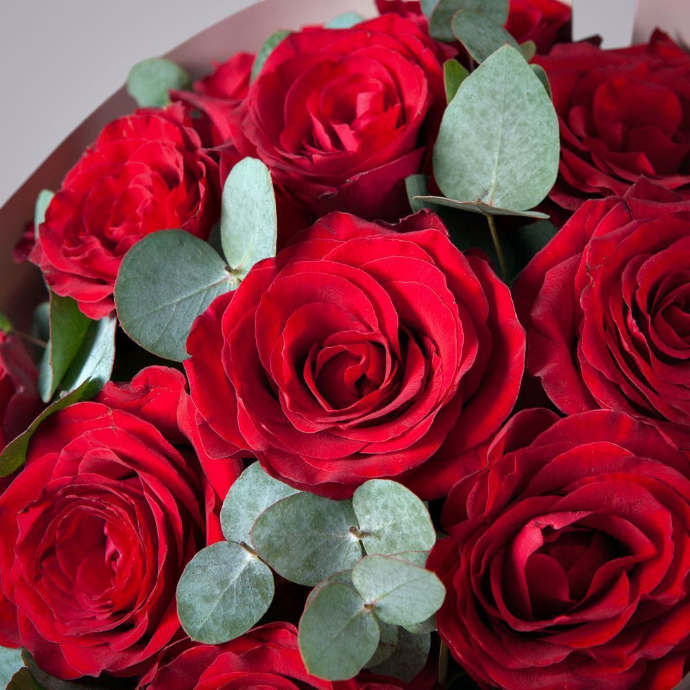 монобукет 11 роз chekmate в упаковке 