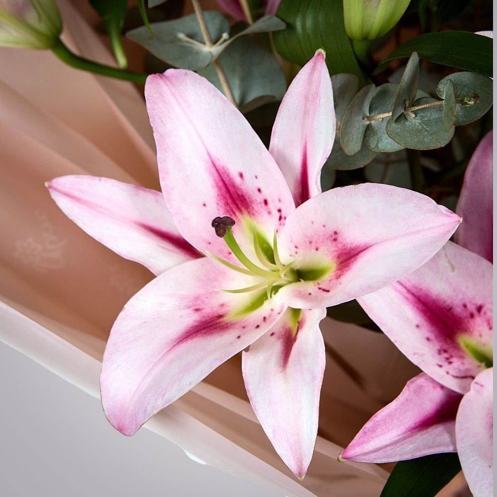 монобукет из розовых лилий с эвкалиптом 