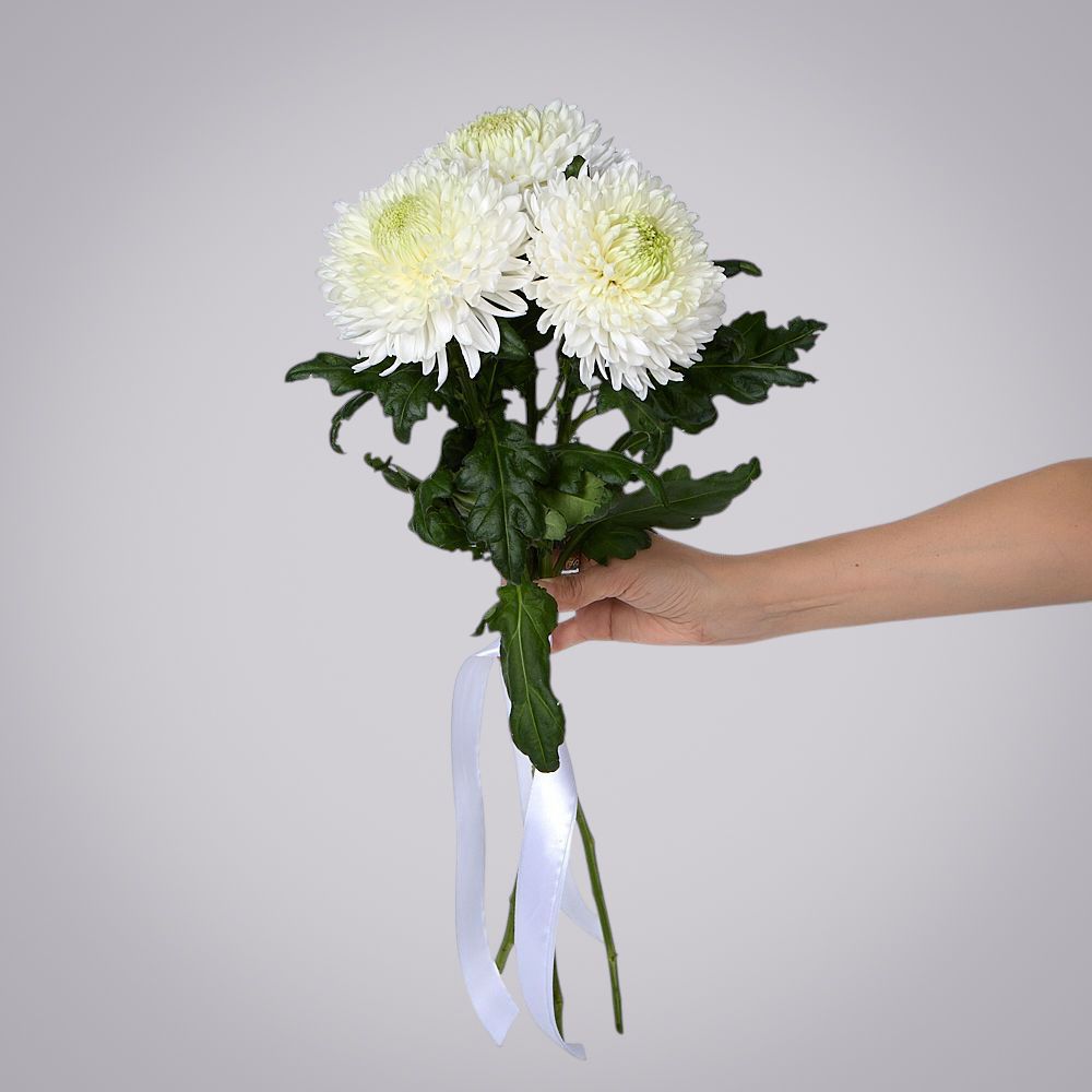 монобукет из 3 белых хризантем magnum под ленту 