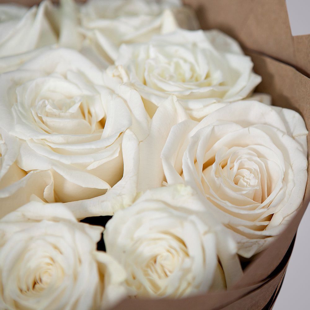 монобукет из 11 пионовидных роз "playa blanca" в крафте 