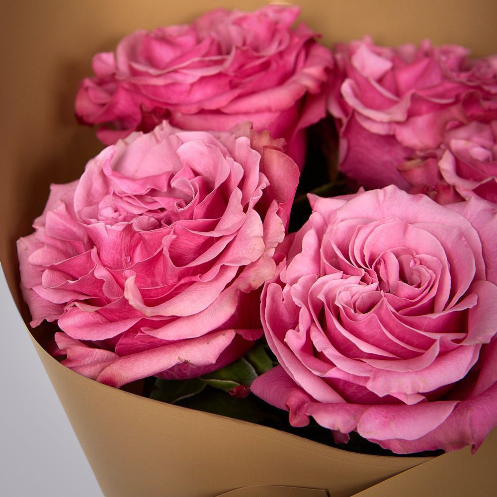 монобукет из 5 пионовидных роз “country blues” в упаковке 