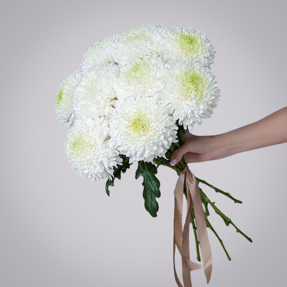 монобукет из 9 белых хризантем magnum 