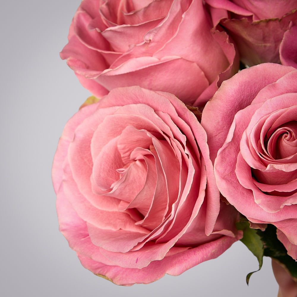 монобукет из 5 роз "hermosa" под ленту 