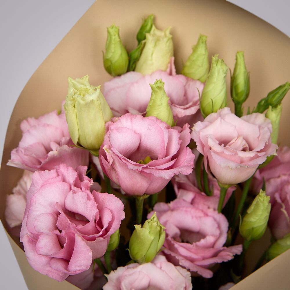 монобукет из 5 розовых лизиантусов в упаковке 