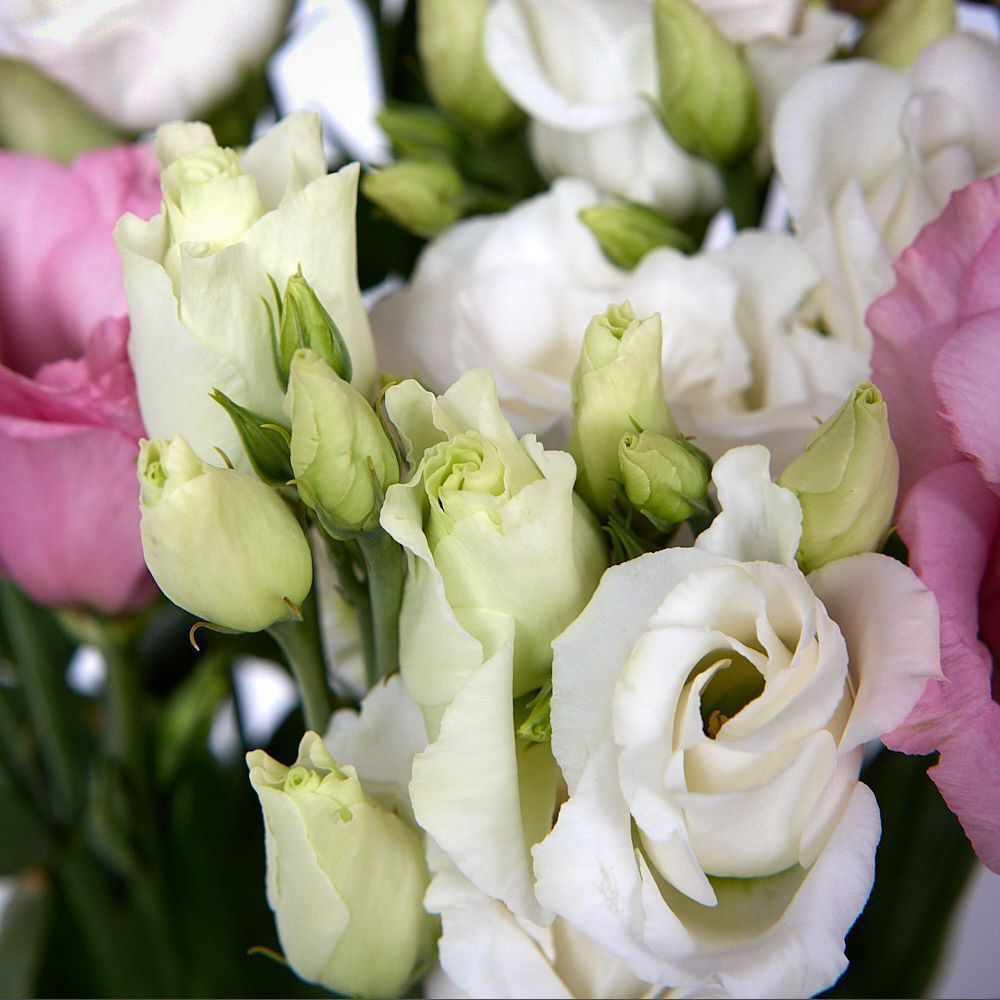 монобукет из 5 лизиантусов микс под ленту 