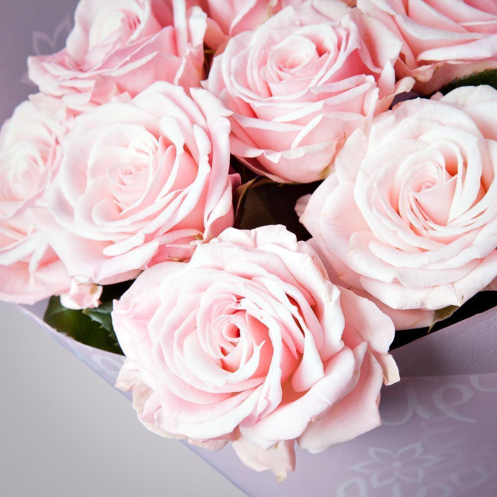 монобукет 3 кустовых роз "aerobic" в упаковке 