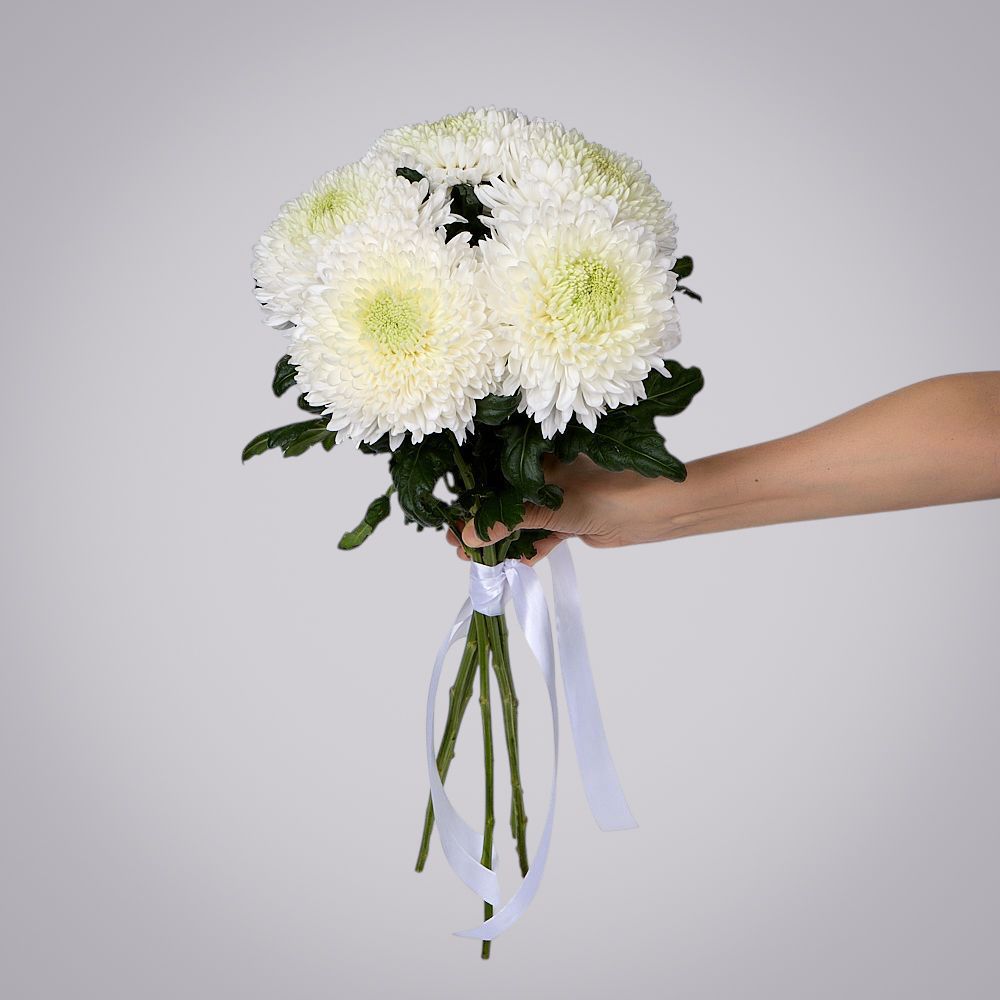 монобукет из 5 белых хризантем magnum под ленту 