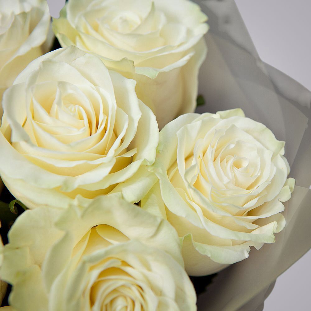 монобукет из 11 роз "mondial" в матовой пленке 