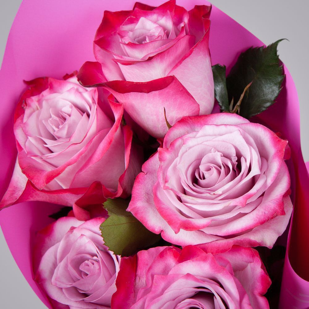 монобукет 5 роз "deep purple" в упаковке 