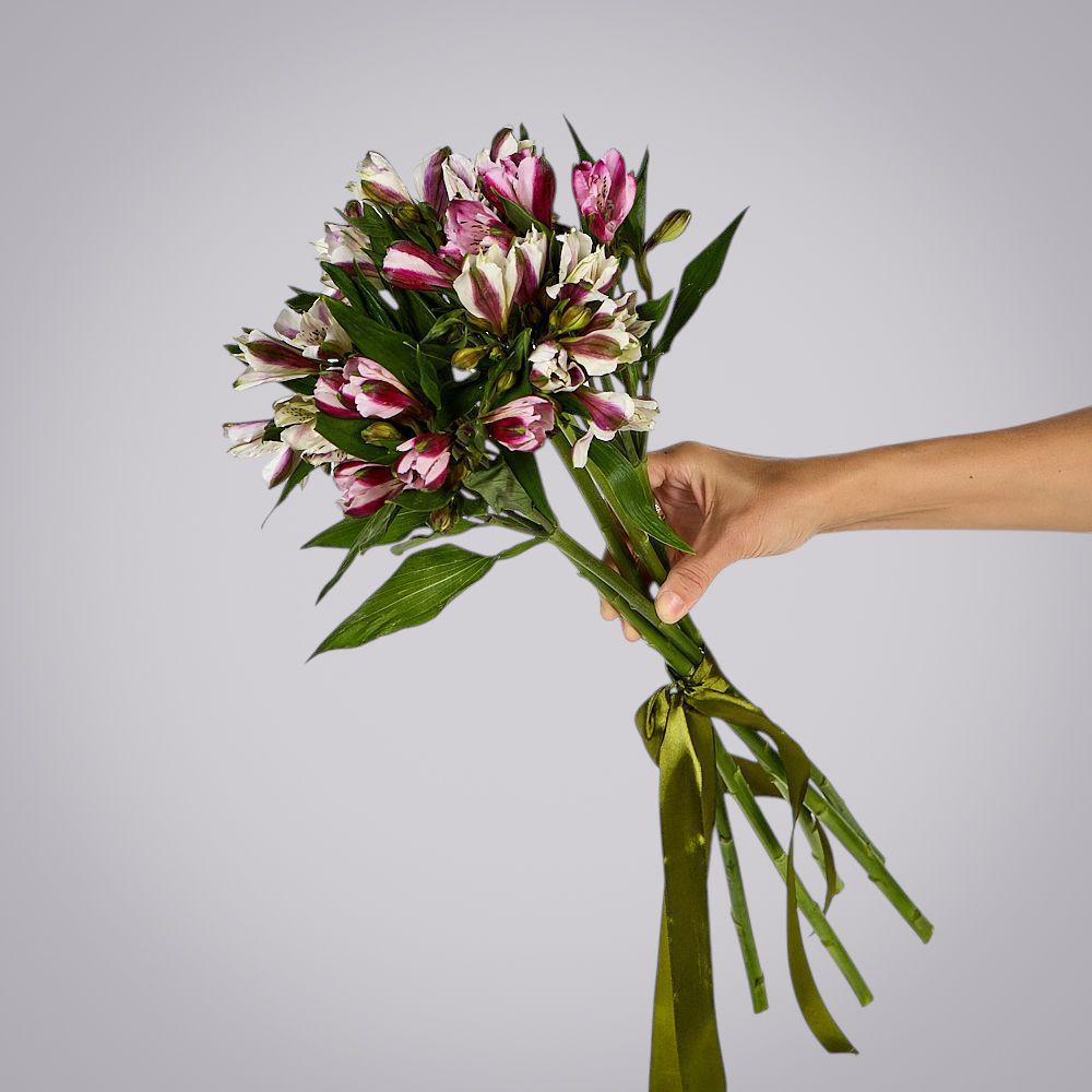 монобукет из 5 альстромерий микс под ленту 