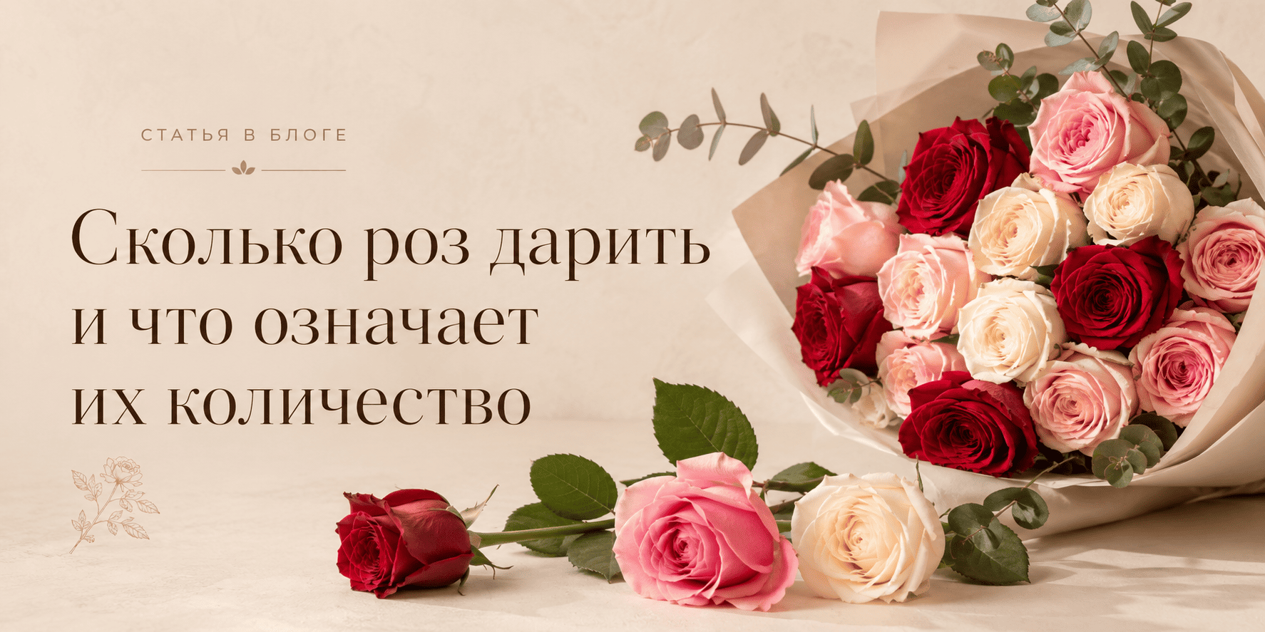 Сколько роз дарить и что означает их количество