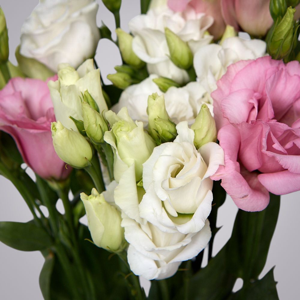 монобукет из 5 лизиантусов микс под ленту 