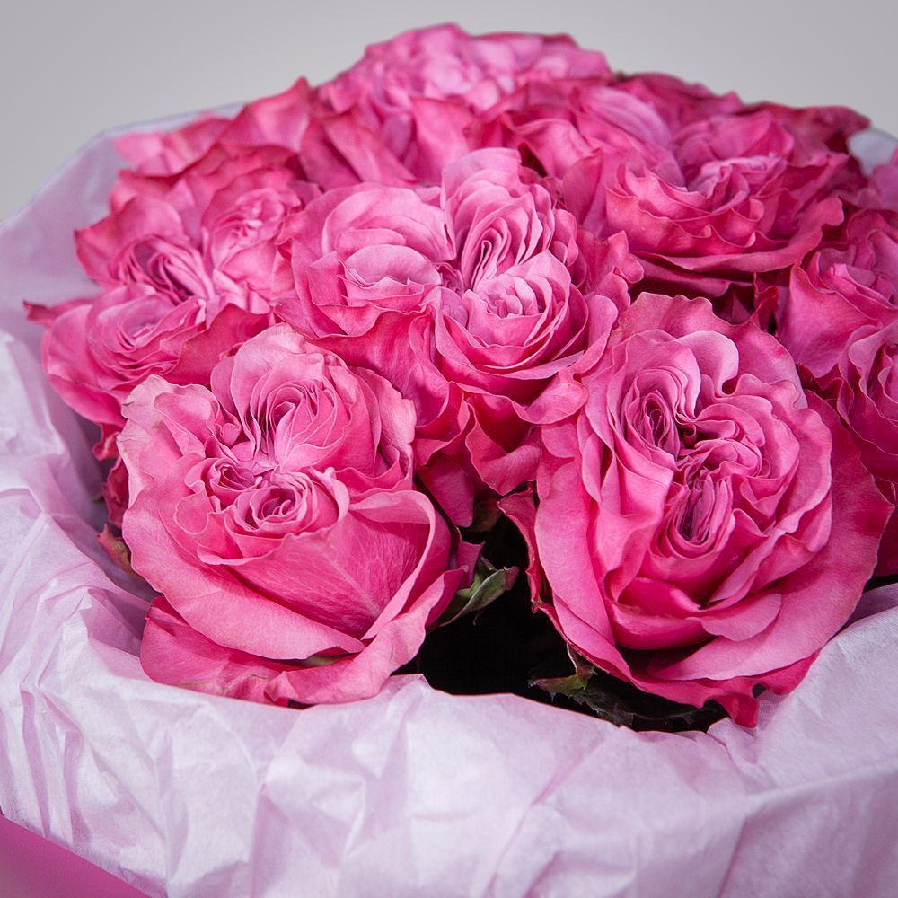 монобукет 11 пионовидных роз "country blues" в упаковке с тишью  монобукет 11 пионовидных роз "country blues" в упаковке с тишью