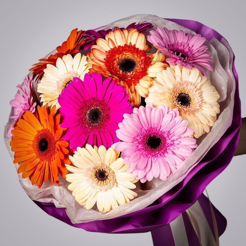 монобукет из 11 гербер в упаковке с тишью 