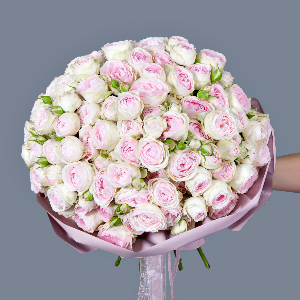 монобукет 25 кустовых роз "dedication" в упаковке 
