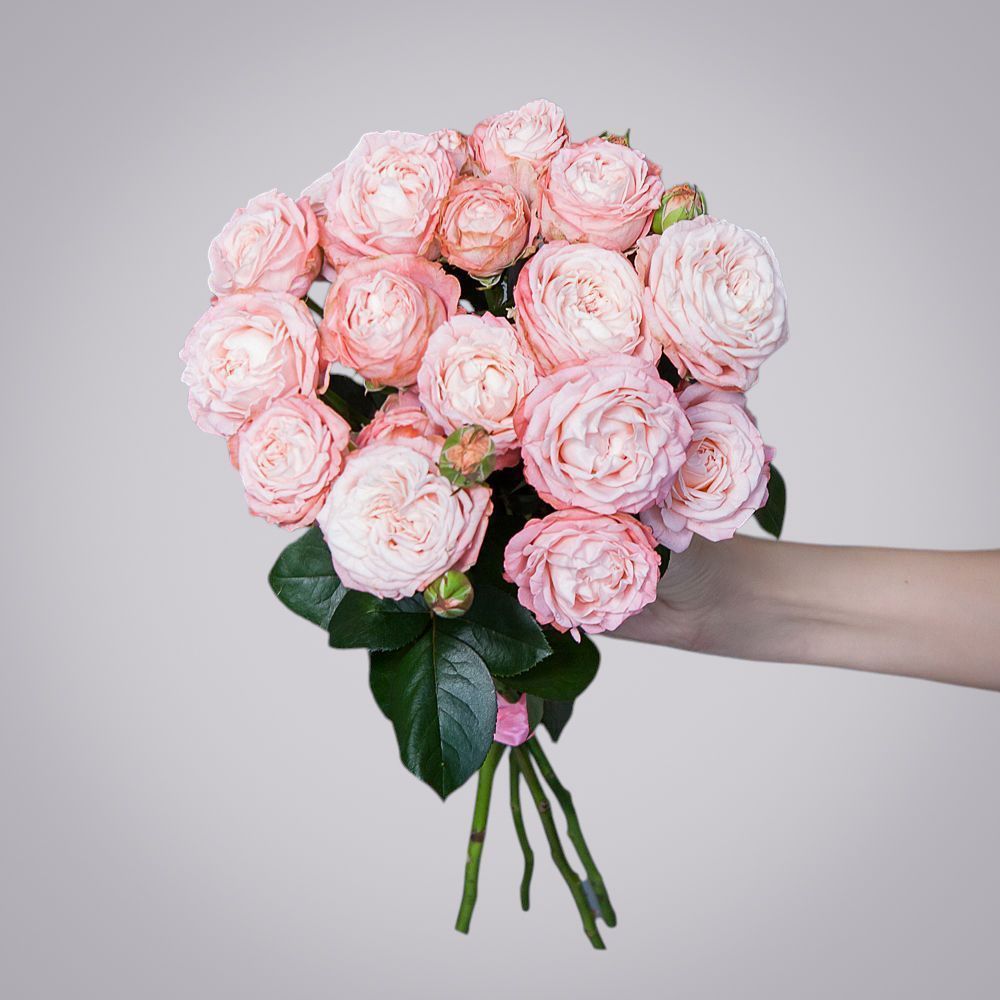 монобукет 5 роз "madam bombastic" под ленту 