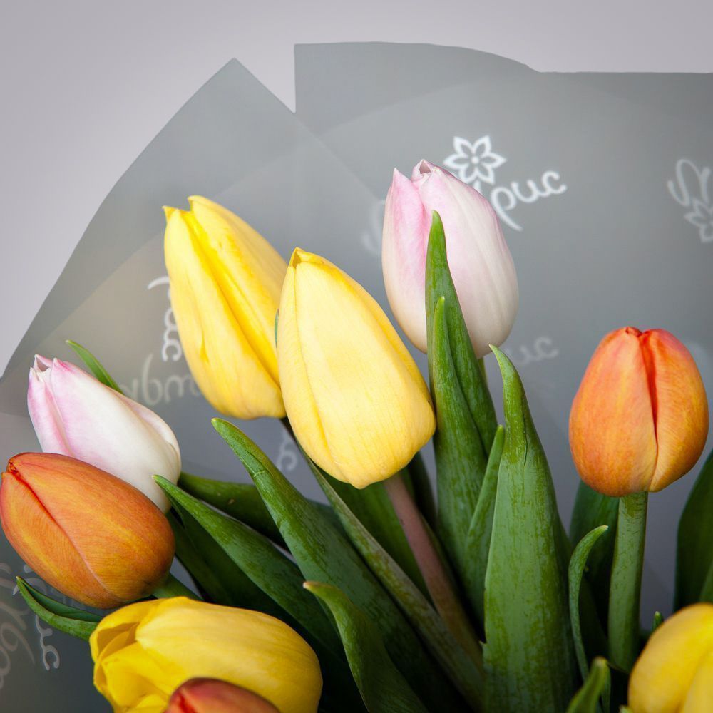 монобукет из 17 тюльпанов микс в упаковке 