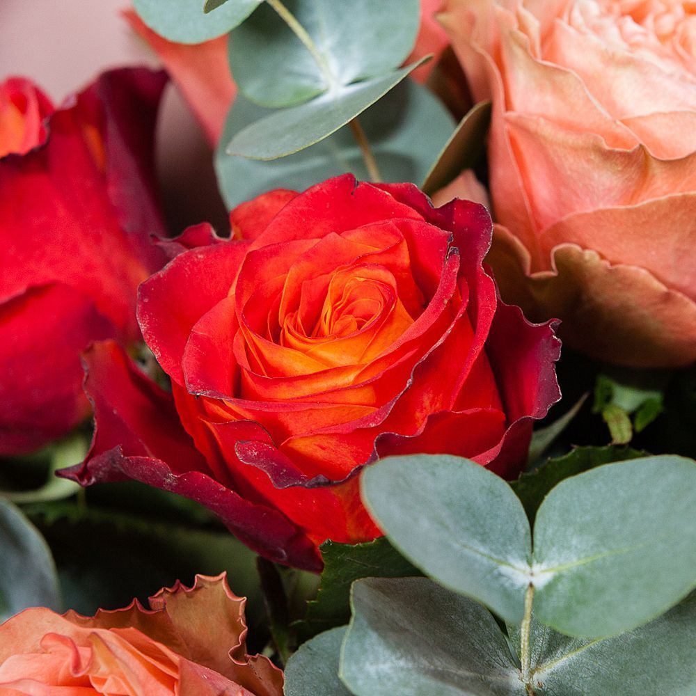 монобукет из 15 желто-оранжевых роз микс 5 в упаковке 