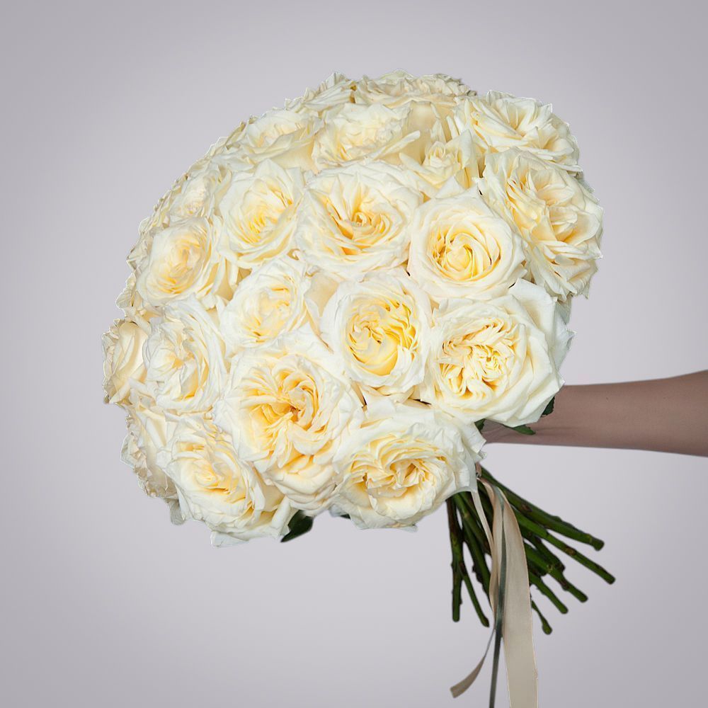 монобукет из 25 пионовидных роз "candlelight" под ленту 