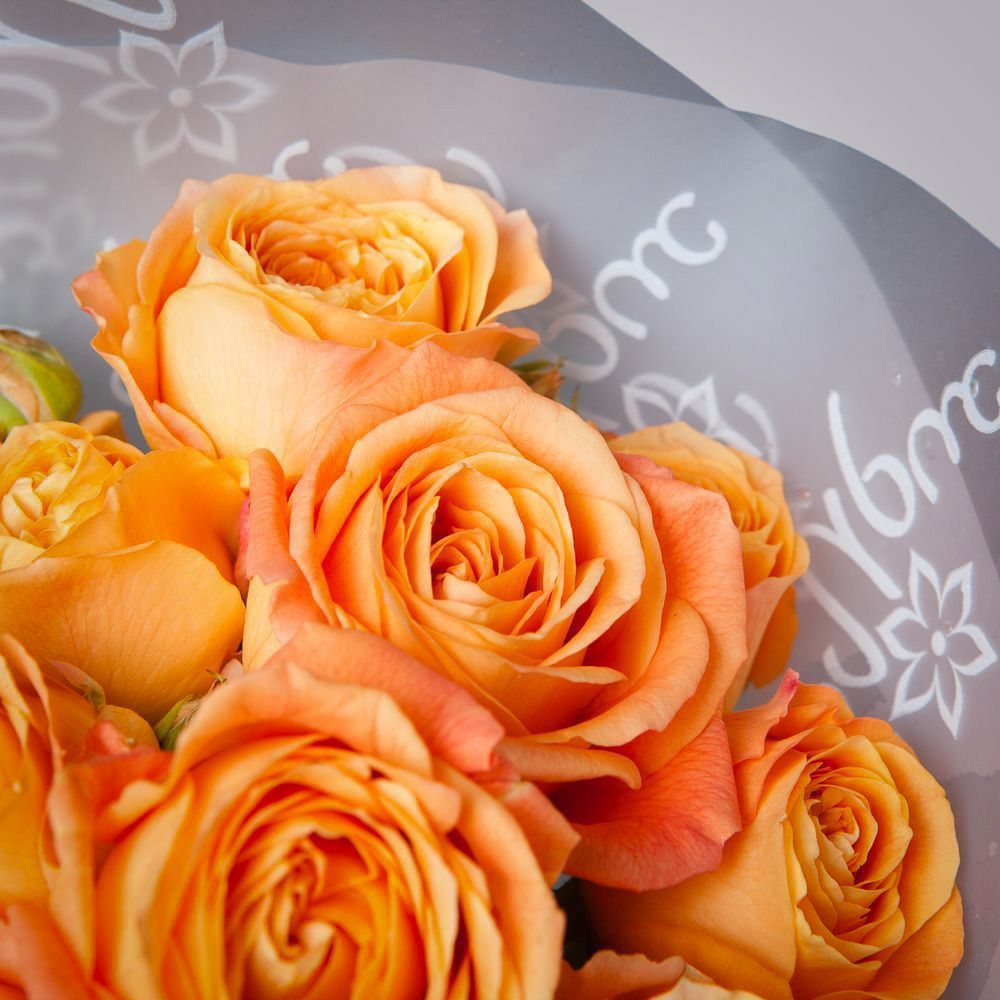 монобукет 5 кустовых роз "apricot lace"  в белой упаковке 