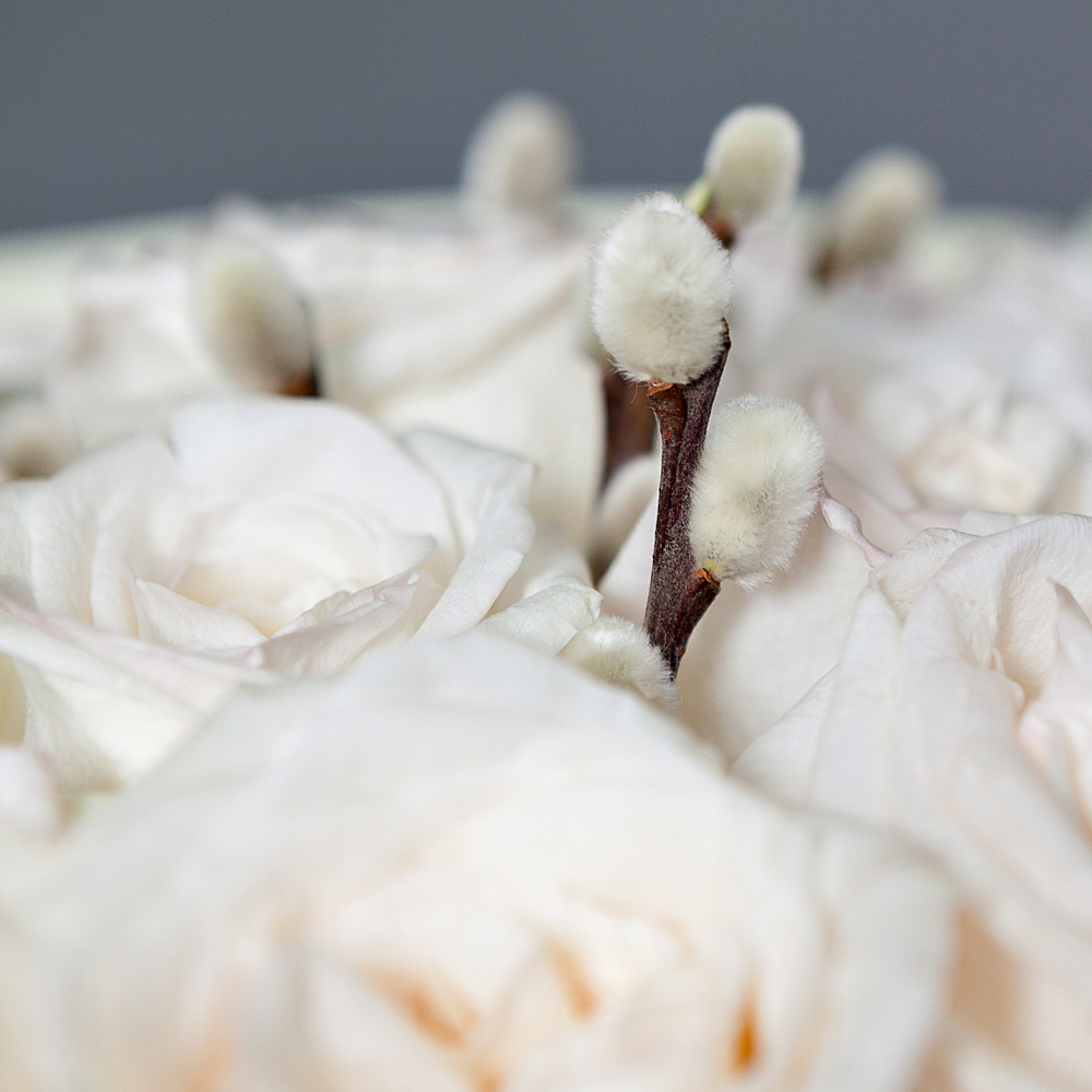 монобукет 21 роза "white o`hara" 