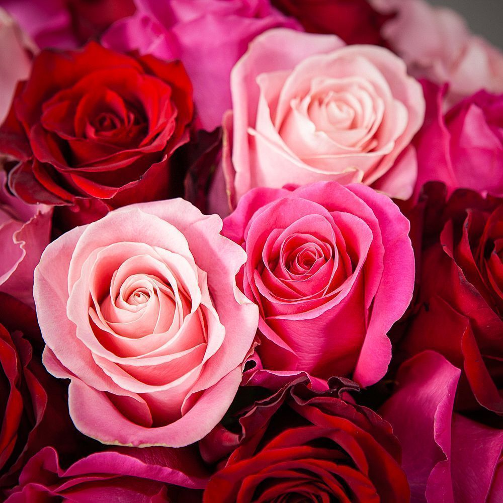 монобукет из 21 роз микс под ленту 