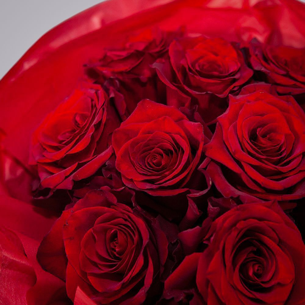 монобукет 9 роз "explorer" в упаковке с тишью 