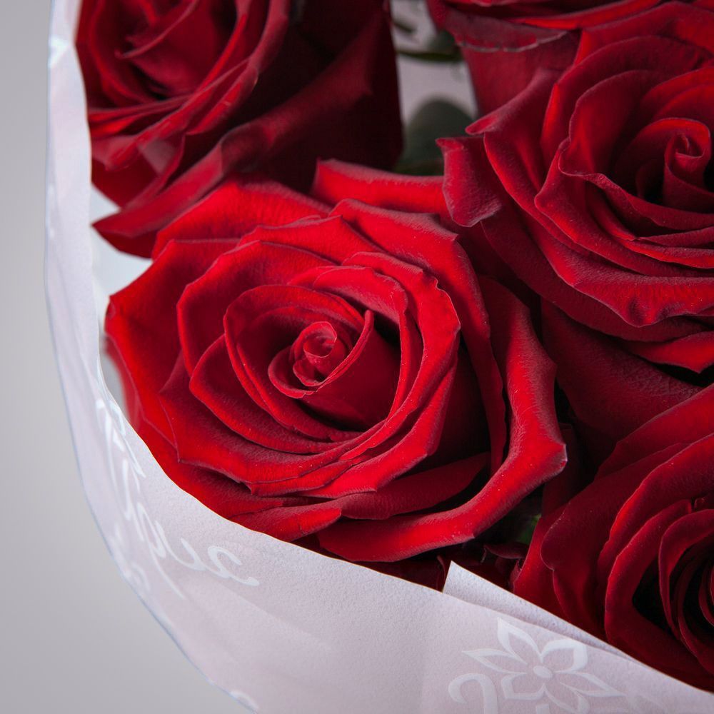 монобукет 11 роз "explorer" в упаковке с тишью 